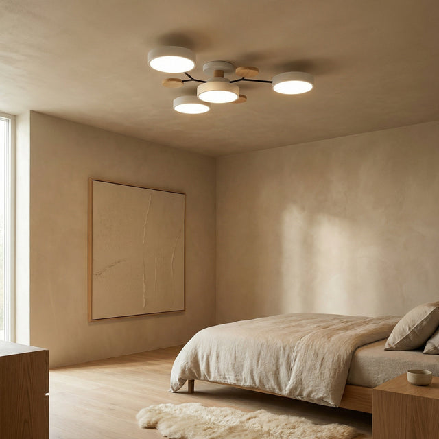 Ceiling lights
