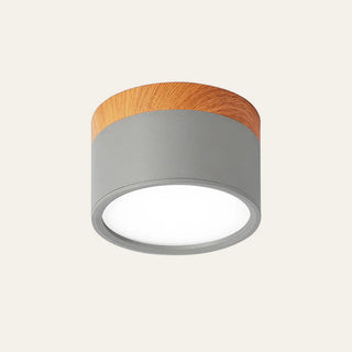 Vnitřní Stropní Svítidlo | Malý Přisazený Válcový LED Design