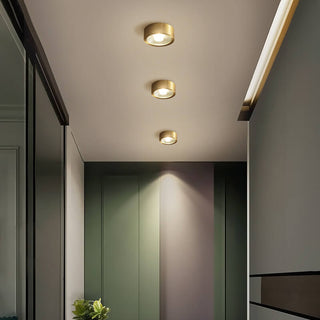 Vnitřní LED Přisazené Stropní Svítidlo | Moderní Dekorativní Design