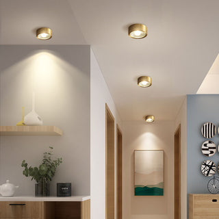Vnitřní LED Přisazené Stropní Svítidlo | Moderní Dekorativní Design