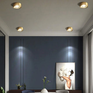 Vnitřní LED Přisazené Stropní Svítidlo | Moderní Dekorativní Design