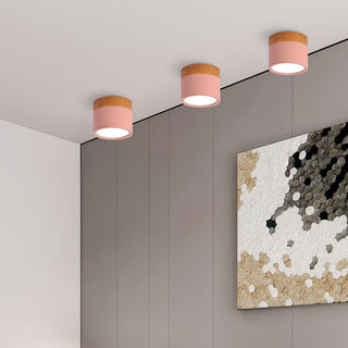 Vnitřní Stropní Svítidlo | Malý Přisazený Válcový LED Design
