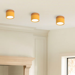 Vnitřní Stropní Svítidlo | Malý Přisazený Válcový LED Design