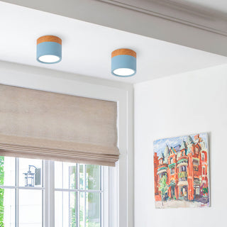 Vnitřní Stropní Svítidlo | Malý Přisazený Válcový LED Design