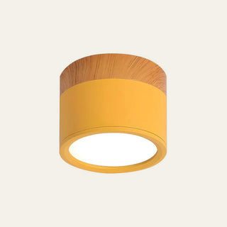 Vnitřní Stropní Svítidlo | Malý Přisazený Válcový LED Design