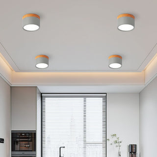 Vnitřní Stropní Svítidlo | Malý Přisazený Válcový LED Design