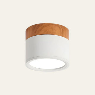 Vnitřní Stropní Svítidlo | Malý Přisazený Válcový LED Design