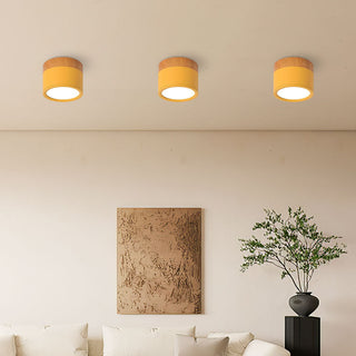 Vnitřní Stropní Svítidlo | Malý Přisazený Válcový LED Design