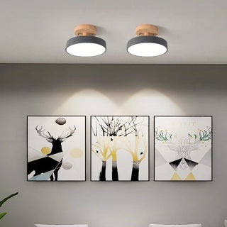 Vnitřní Moderní Stropní Svítidlo | LED Osvětlení