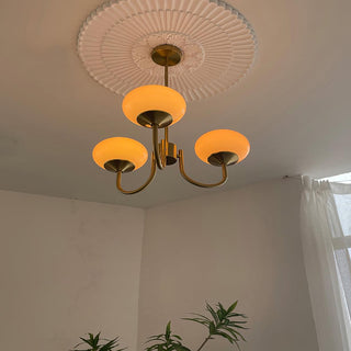 Vnitřní Moderní Závěsné Svítidlo | Dekorativní Design se Zaoblenými Stínidly