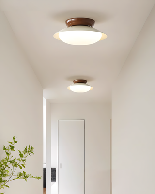 Vnitřní Stropní Svítidlo | Retro Kulatý Moderní LED