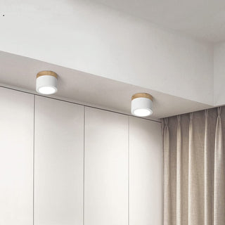 Vnitřní Stropní Svítidlo | Malý Přisazený Válcový LED Design