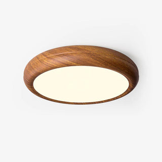 Vnitřní LED Stropní Svítidlo | Moderní Zaoblený Dekorativní Design