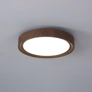 Vnitřní LED Stropní Svítidlo | Moderní Zaoblený Dekorativní Design