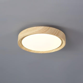 Vnitřní LED Stropní Svítidlo | Moderní Zaoblený Dekorativní Design