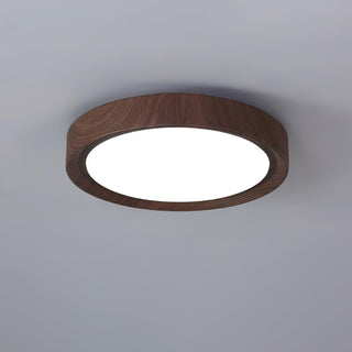 Vnitřní LED Stropní Svítidlo | Moderní Zaoblený Dekorativní Design