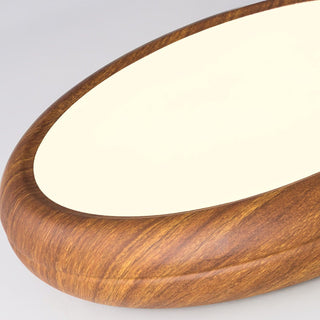 Vnitřní LED Stropní Svítidlo | Moderní Zaoblený Dekorativní Design