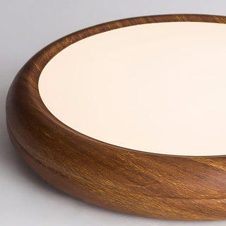 Vnitřní LED Stropní Svítidlo | Moderní Zaoblený Dekorativní Design