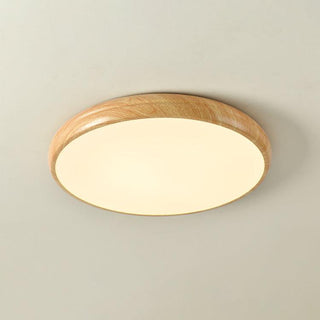 Vnitřní LED Stropní Svítidlo | Moderní Zaoblený Dekorativní Design