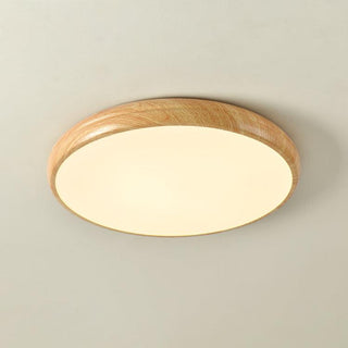Vnitřní LED Stropní Svítidlo | Moderní Zaoblený Dekorativní Design