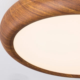 Vnitřní LED Stropní Svítidlo | Moderní Zaoblený Dekorativní Design