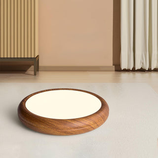 Vnitřní LED Stropní Svítidlo | Moderní Zaoblený Dekorativní Design