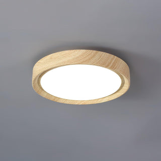 Vnitřní LED Stropní Svítidlo | Moderní Zaoblený Dekorativní Design