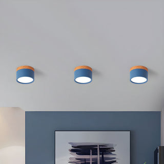 Vnitřní Stropní Svítidlo | Malý Přisazený Válcový LED Design