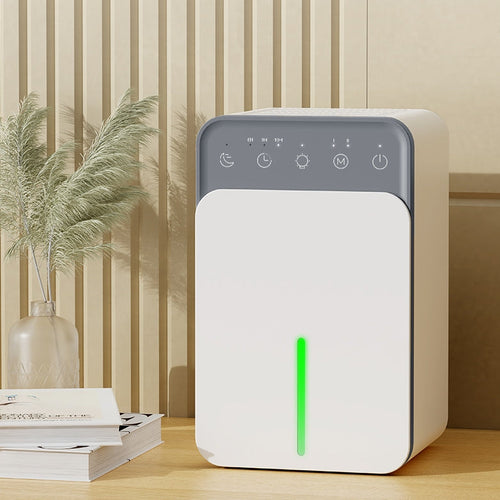 Compact Dehumidifier with Timer
