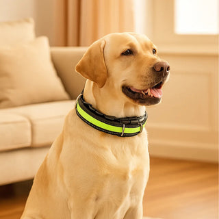 Adjustable Training Reflex Dog Collar