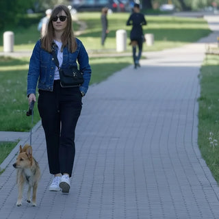 Adjustable Retractable Automatic Dog Leash