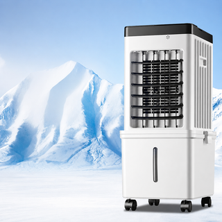 Portable summer air cooler