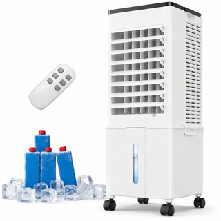 Portable air cooler with remote control for summer cooling