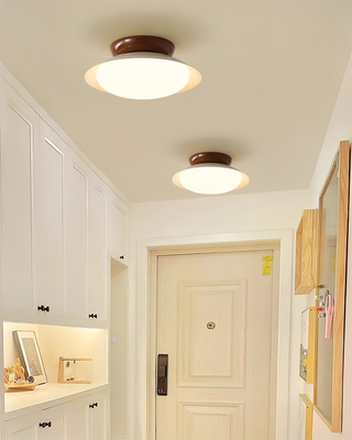 Vnitřní Stropní Svítidlo | Retro Kulatý Moderní LED