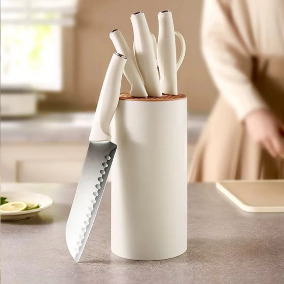 Stainless Steel Kitchen Knife Set with Stand