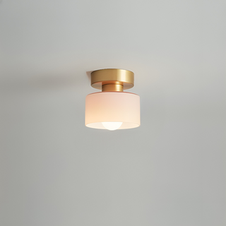 Minimalist Cylindrical LED Ceiling Lamp
