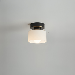 Minimalist Cylindrical LED Ceiling Lamp