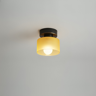 Minimalist Cylindrical LED Ceiling Lamp