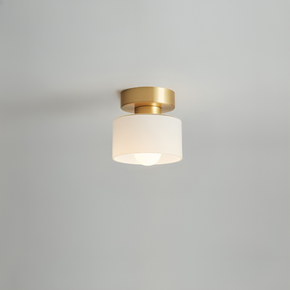 Minimalist Cylindrical LED Ceiling Lamp