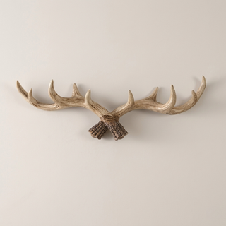 Porte-manteau mural avec crochets en forme de bois de cerf pour entrée  
