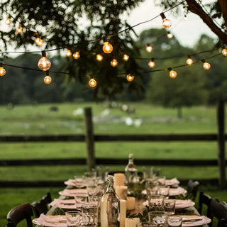 Outdoor festive black LED string lights